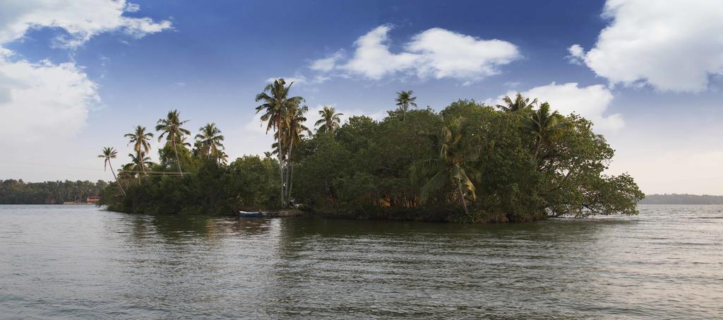 Vinis Farm - A Private Island -privacy Redefined !!! Farm stay