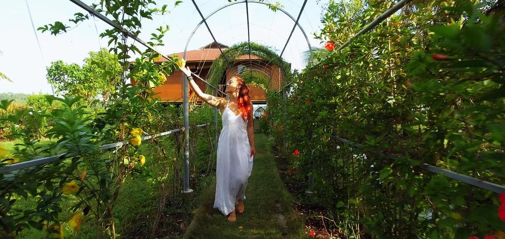 Farm stay Vinis Farm - A Private Island -privacy Redefined !!! Mundrothuruth