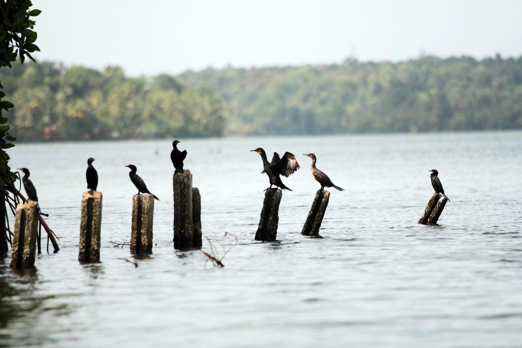 Vinis Farm - A Private Island -privacy Redefined !!! *
