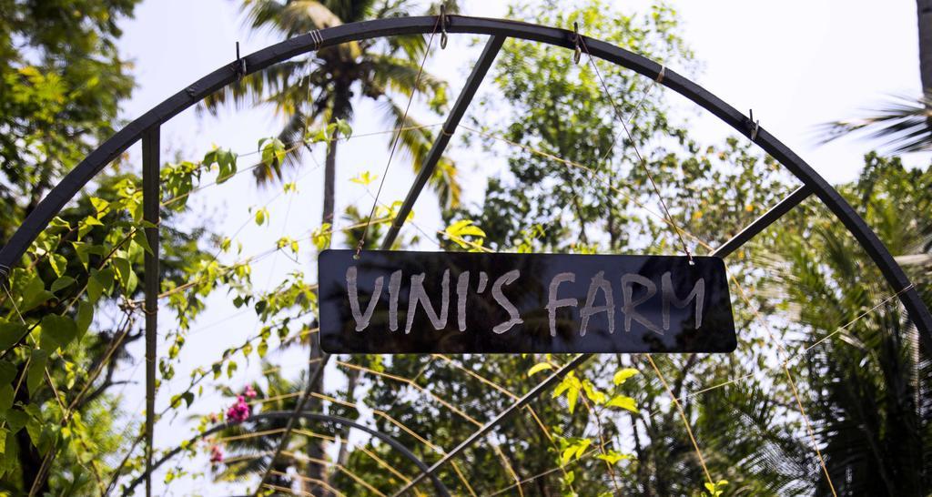 Vinis Farm - A Private Island -privacy Redefined !!! *